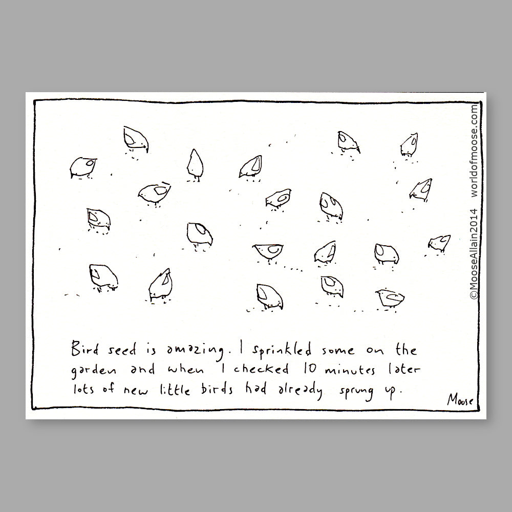 Bird Seed Cartoon