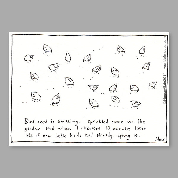 Bird Seed Cartoon