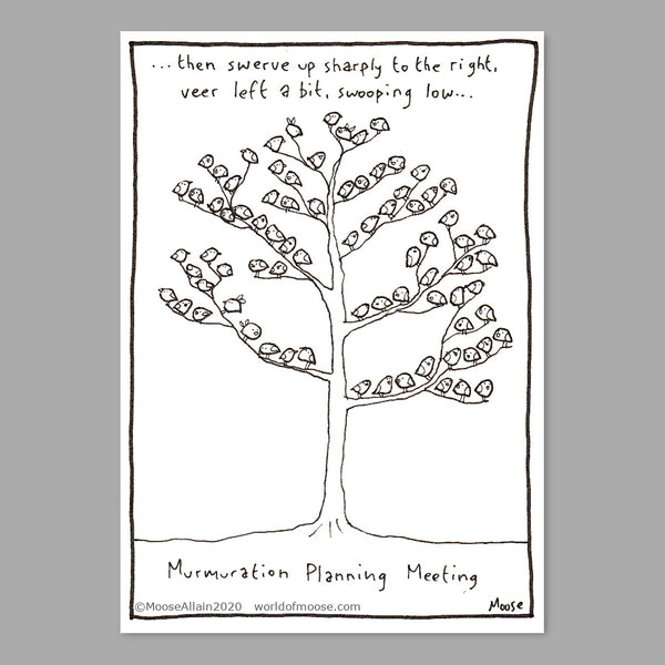 Murmuration Planning Meeting Cartoon