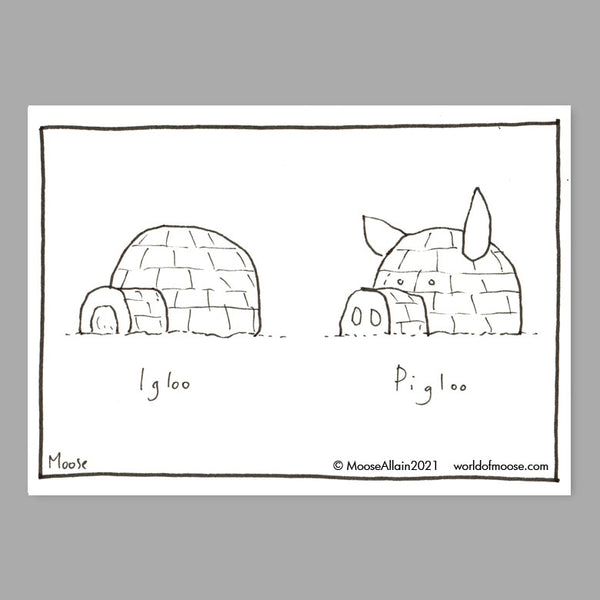 Pigloo Cartoon