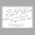 Pilot Whale Cartoon