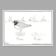 Plover Cartoon