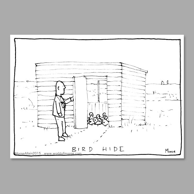 Bird Hide Cartoon