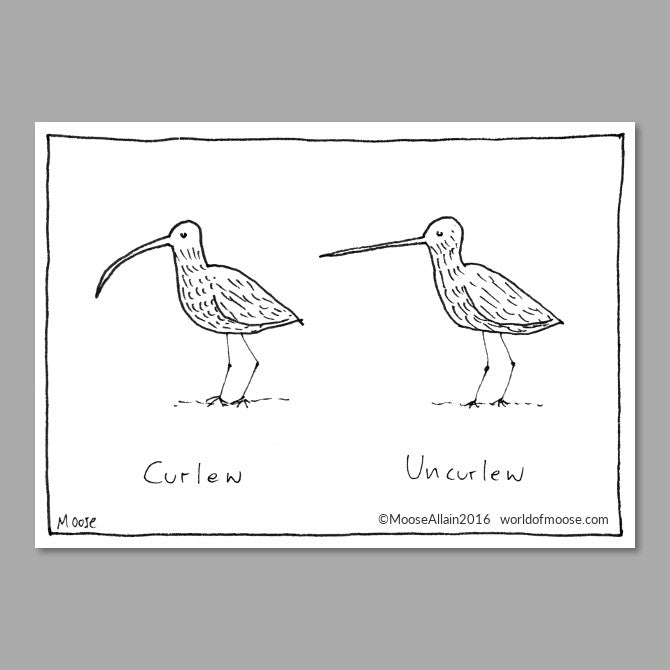 Curlew Cartoon