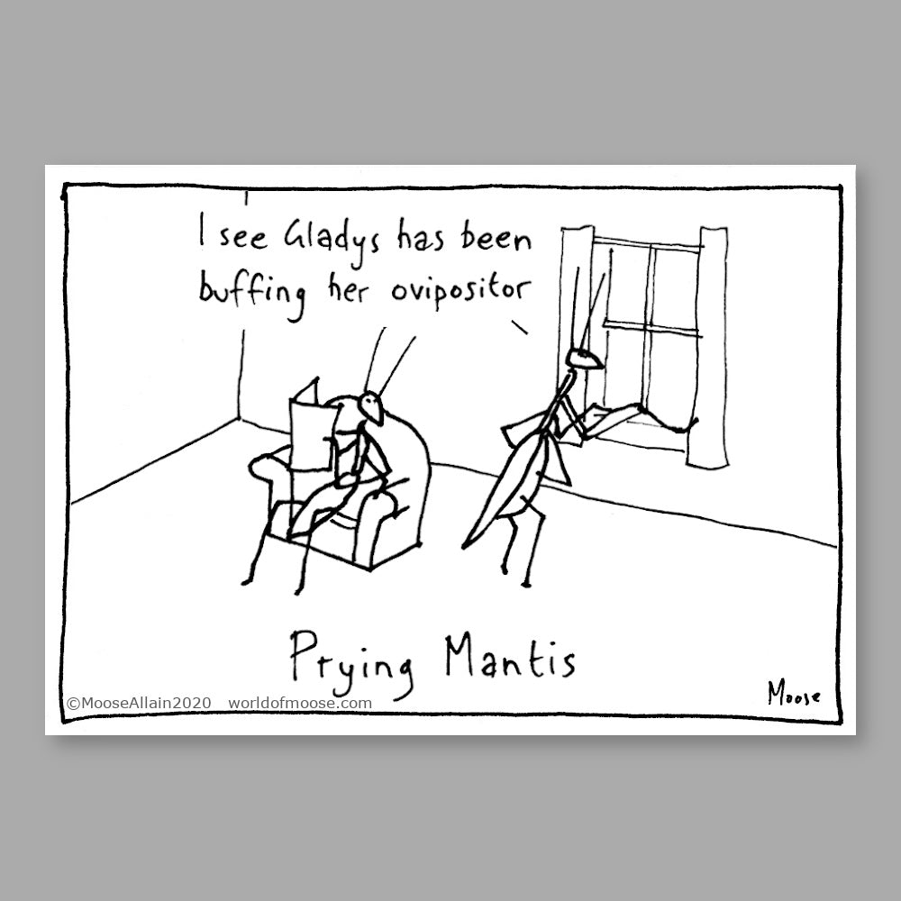 Prying Mantis Cartoon