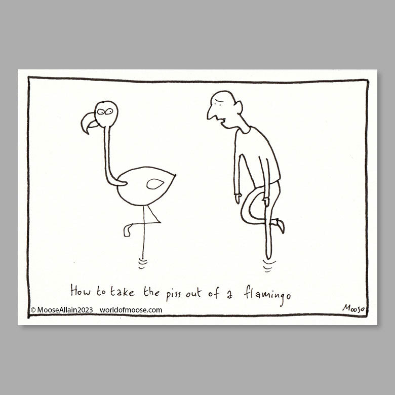 Flamingo Mockery cartoon
