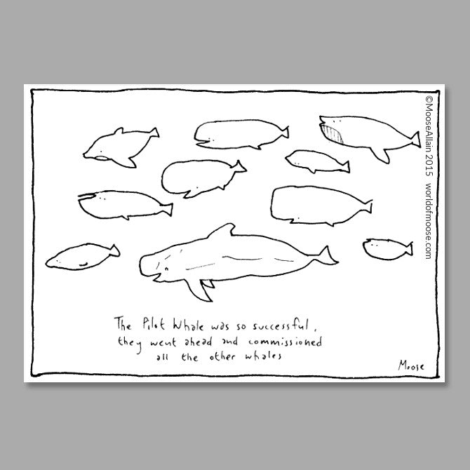 Pilot Whale Cartoon